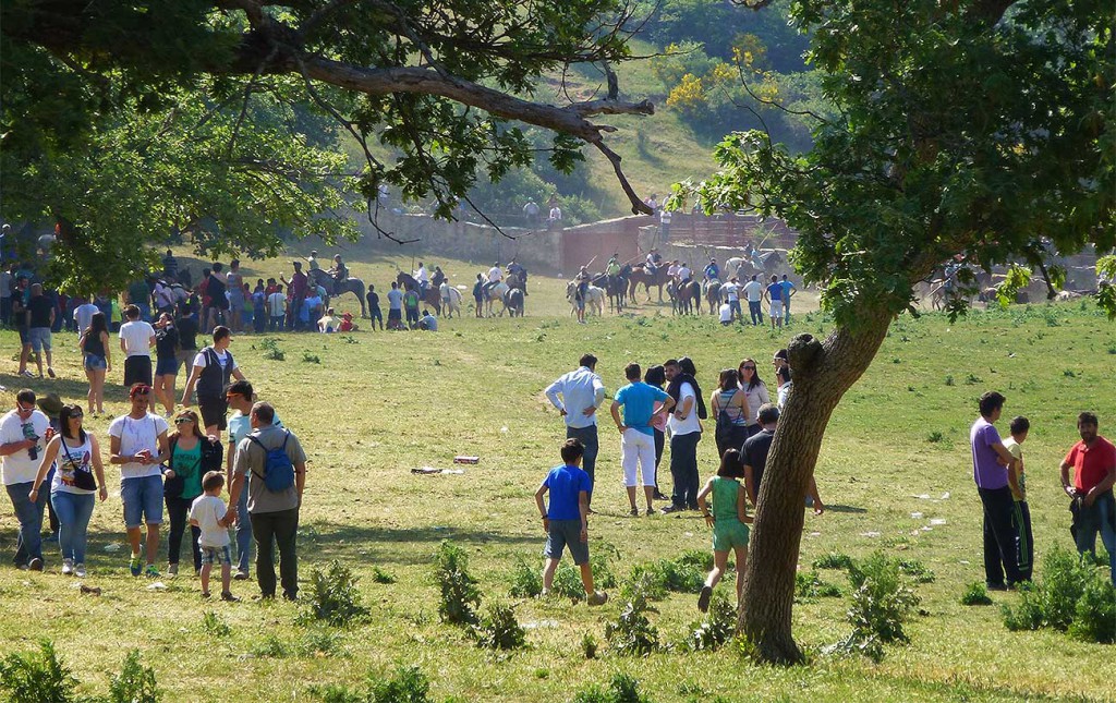 Caballistas-y-sanjuaneros-Lavalenguas-2015-en-Valonsadero