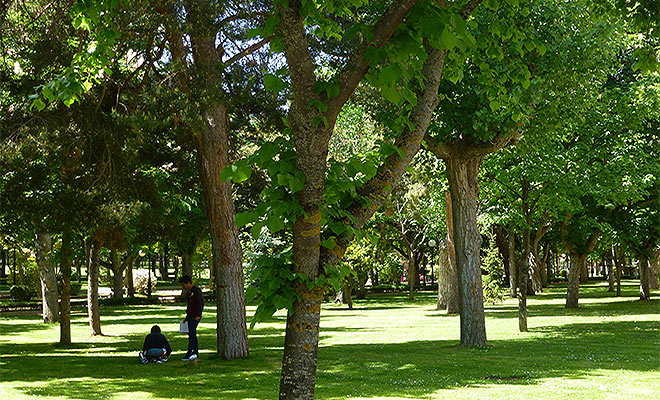 Día Mundial del Medioambiente 2015 en Soria