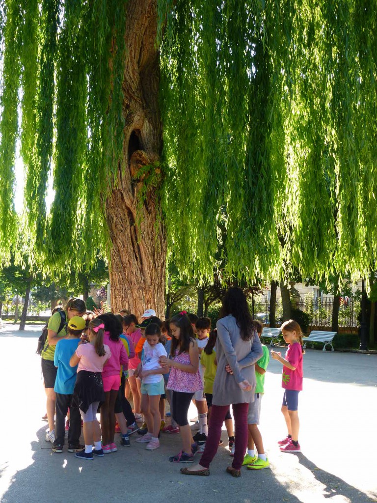 Escolares en taller de Biosfera Soria en Dehesa