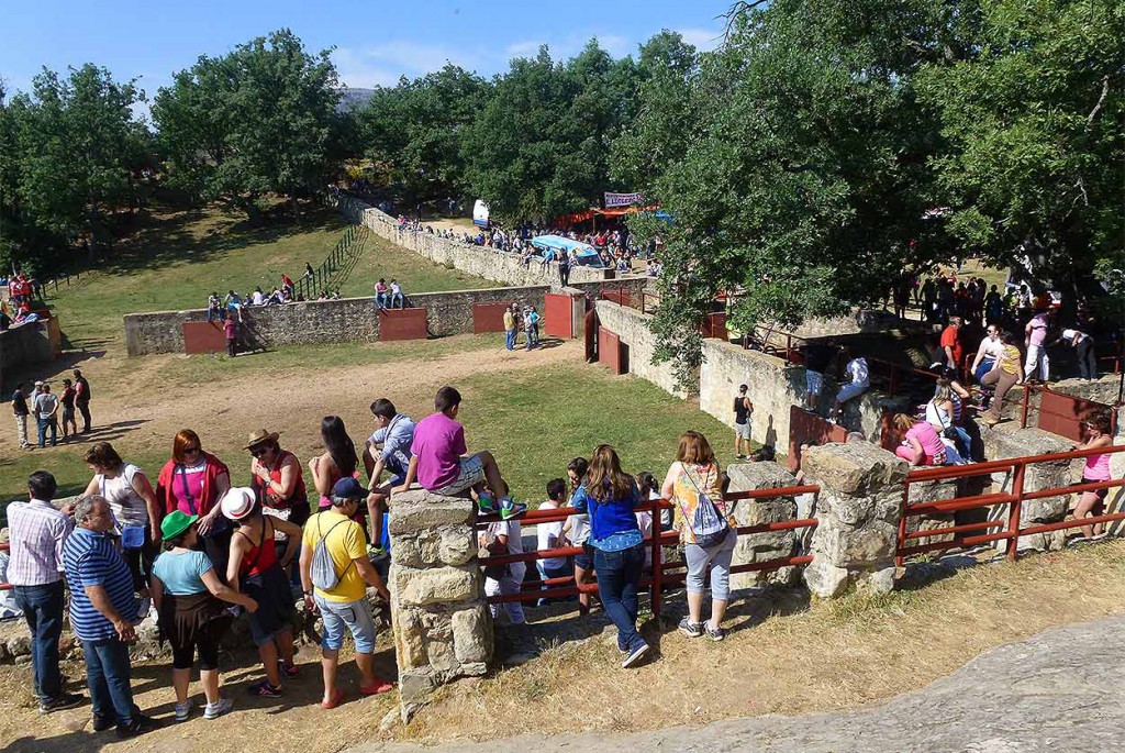 Esperando-los-toros-Lavalenguas-2015-en-Valonsadero