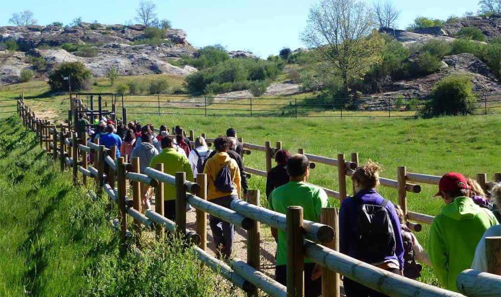 Paseo-por-Valonsadero-en-Senderos-del-Duero-2015