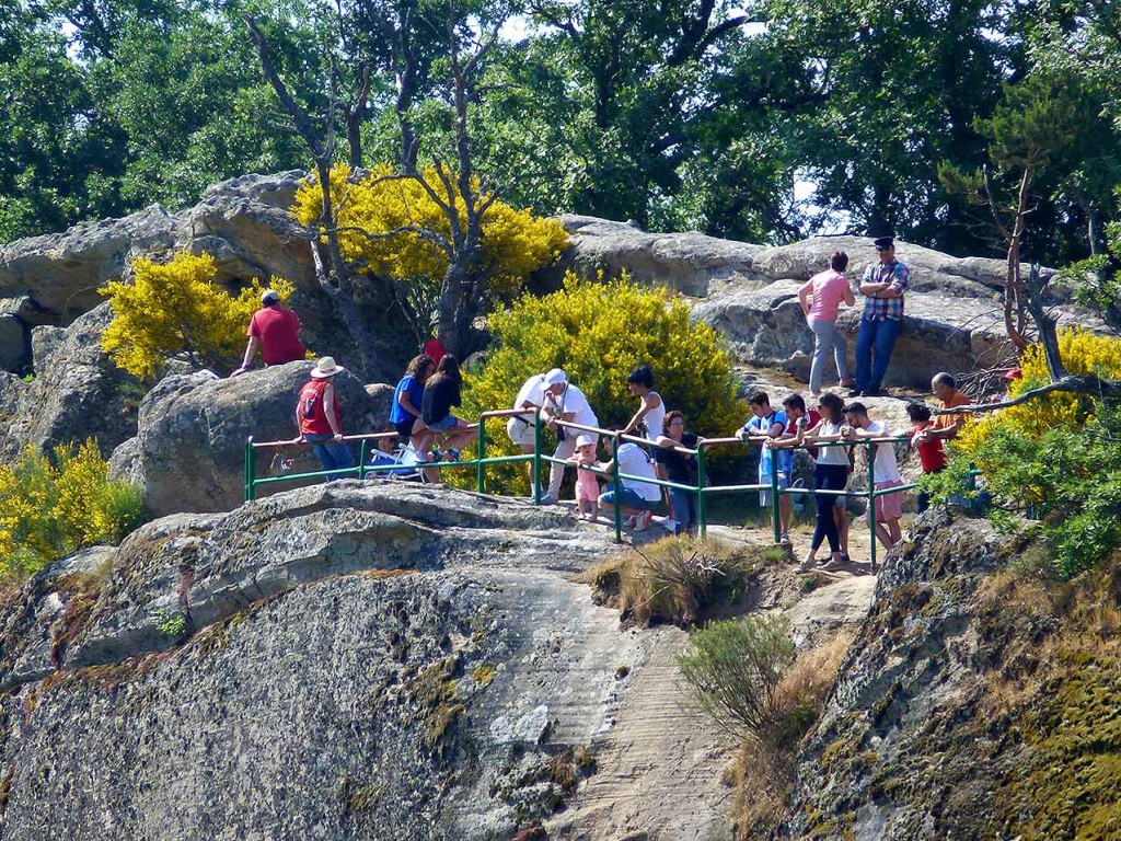 Sanjuaneras-en-mirador-de-Valonsadero-Lavalenguas-2015