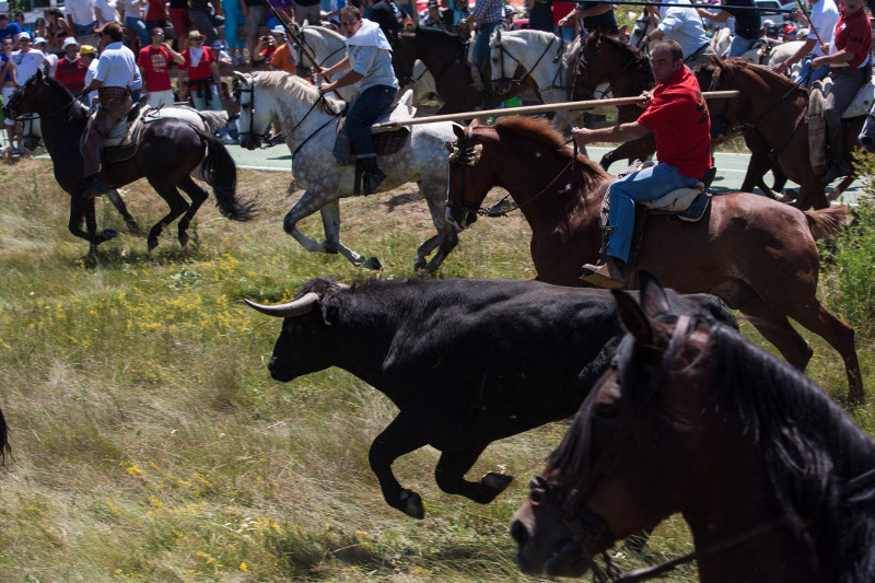 Fiestas de San Juan Soria