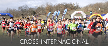 Cross Internacional