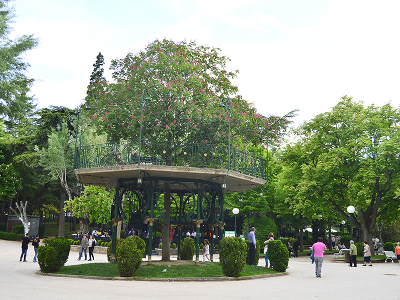 ÁRBOL DE LA MÚSICA – Turismo Soria