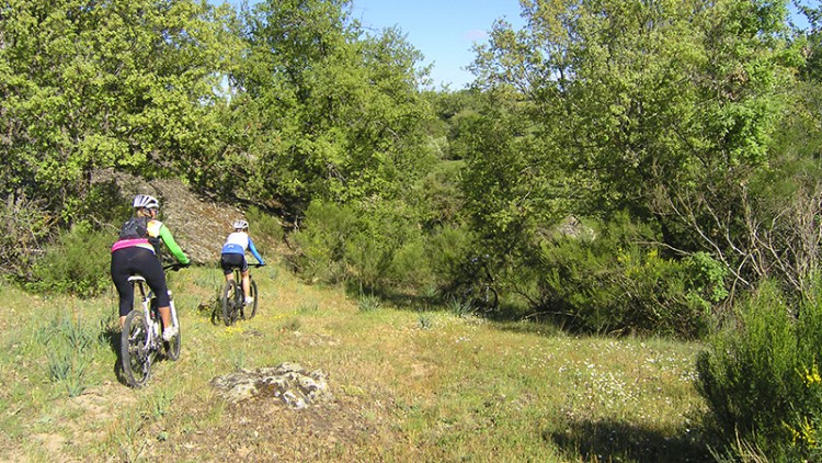 La Saca BTT celebra el 25 de mayo su segunda edición con más de 200 participantes, nombres destacados y un recorrido de 45,7 kilómetros