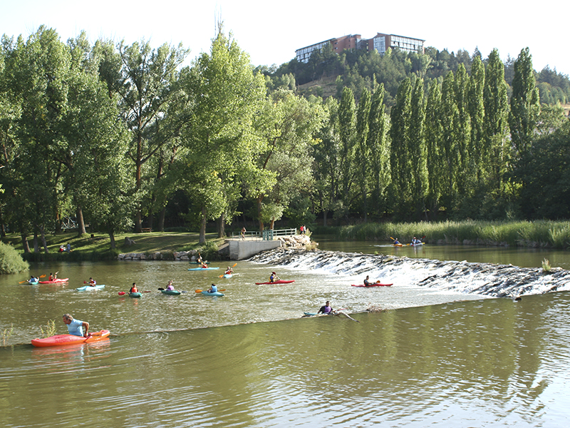 Piraguas en el río Duero