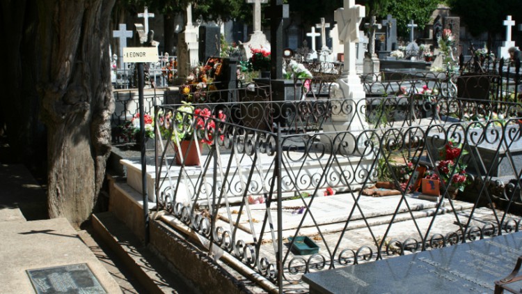 El Espino: Un paseo por la historia y la memoria de Soria