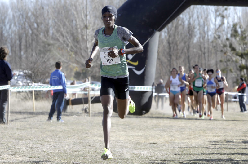 cross-internacional-Soria