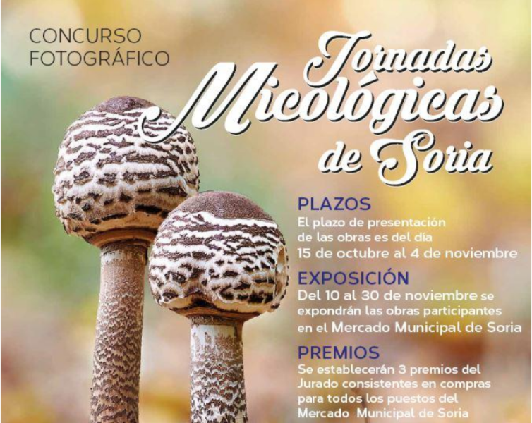 El Mercado Municipal convoca su concurso de fotografía micológica para destacar su valor medioambiental pero también gastronómico
