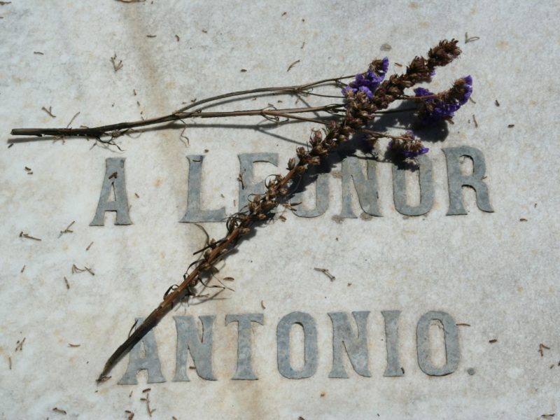 Tumba y Memorial de Leonor