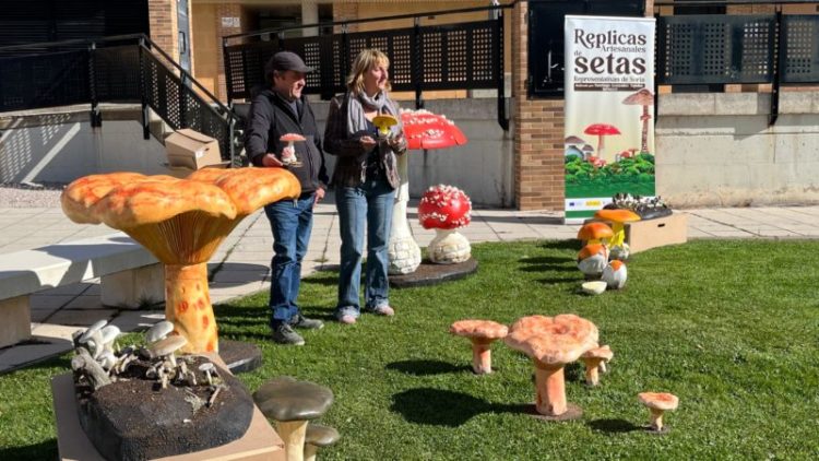 El Ayuntamiento presenta su colección de ‘setas’ como nuevo recurso turístico y de promoción dentro del proyecto europeo Mycotour