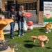 El Ayuntamiento presenta su colección de ‘setas’ como nuevo recurso turístico y de promoción dentro del proyecto europeo Mycotour