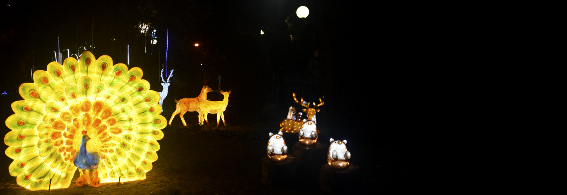 ZooLuminoso_2025